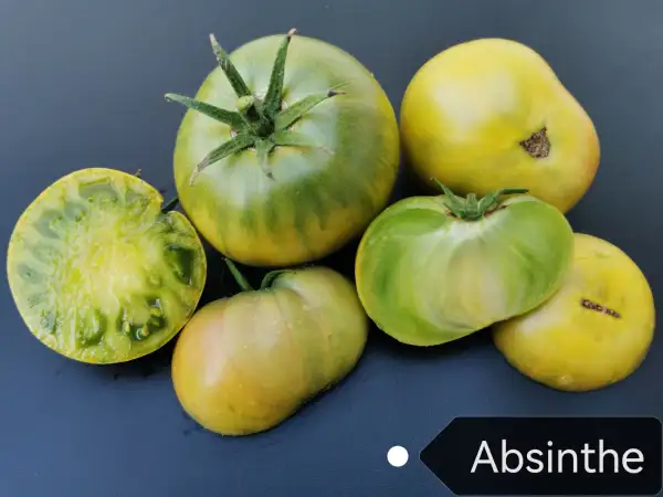 Tomaten: Absinthe