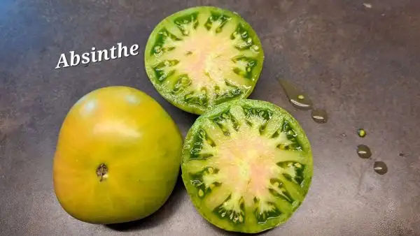 Tomaten: Absinthe