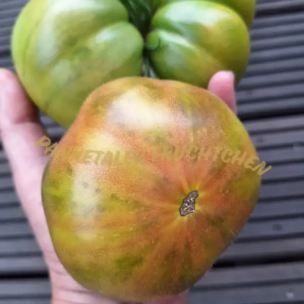 Tomaten: Absinthe