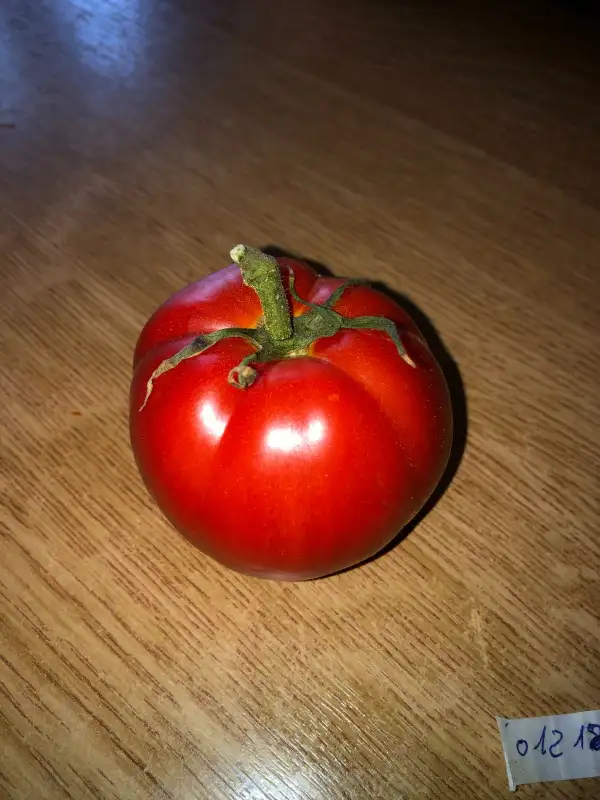 Tomaten: Achi