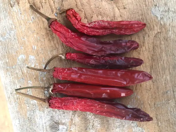 Chili / Paprika: Aciburun