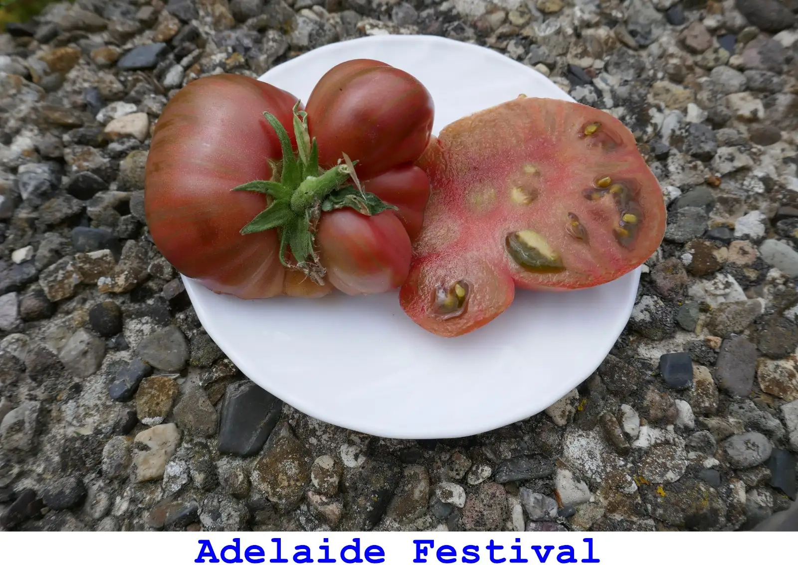Tomaten: Adelaide Festival