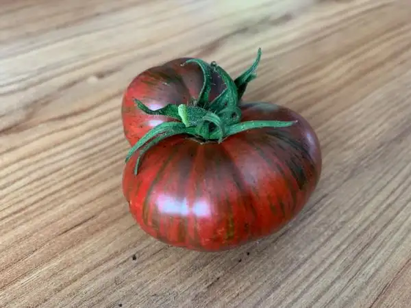 Tomaten: Adelaide Festival