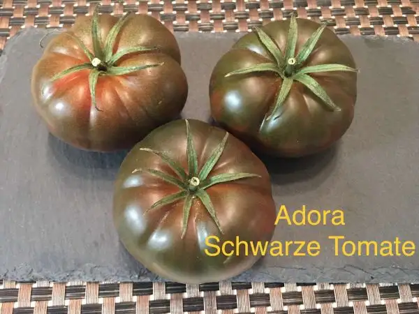 Tomaten: Adora