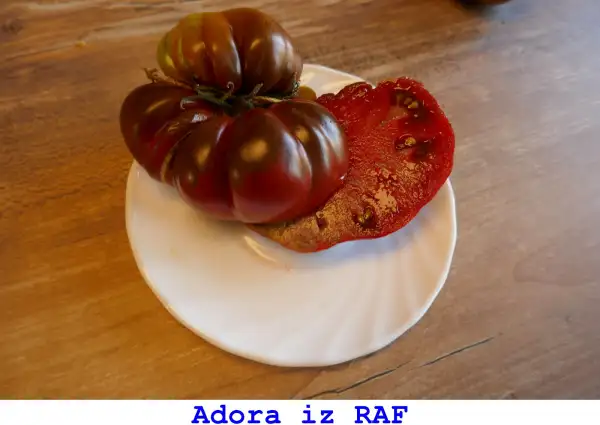 Tomaten: Adora iz RAF