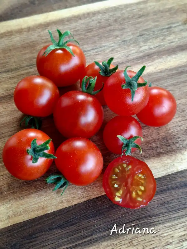 Tomaten: Adriana (micro)