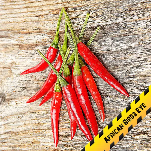 Chili: African Birds Eye