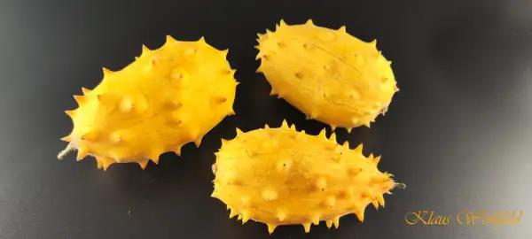 Gurken: Afrikanische Horngurke Kiwano