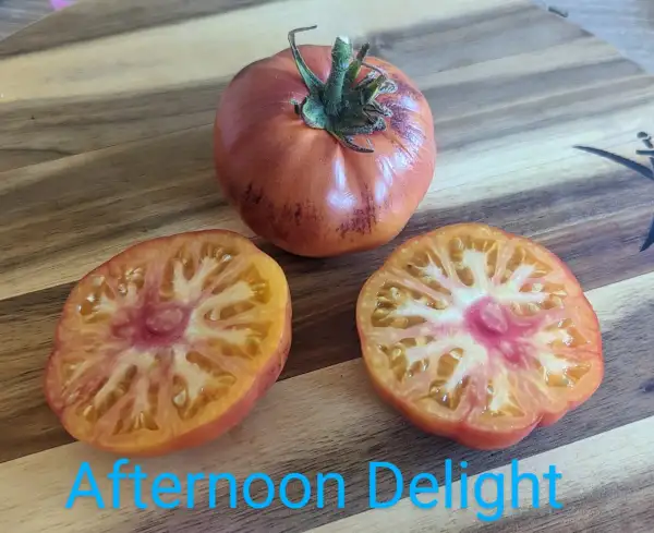 Tomaten: Afternoon Delight