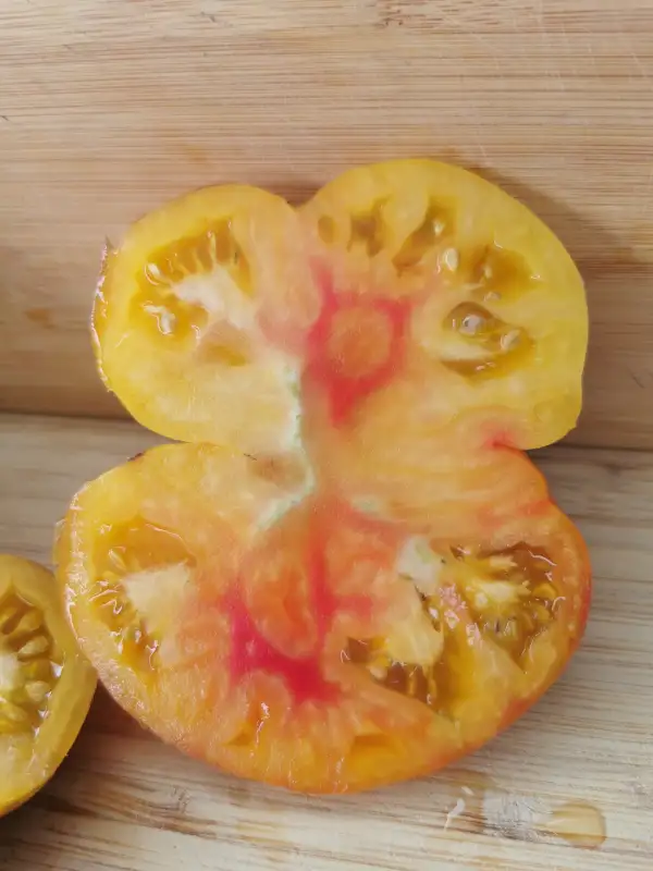 Tomaten: Afternoon Delight