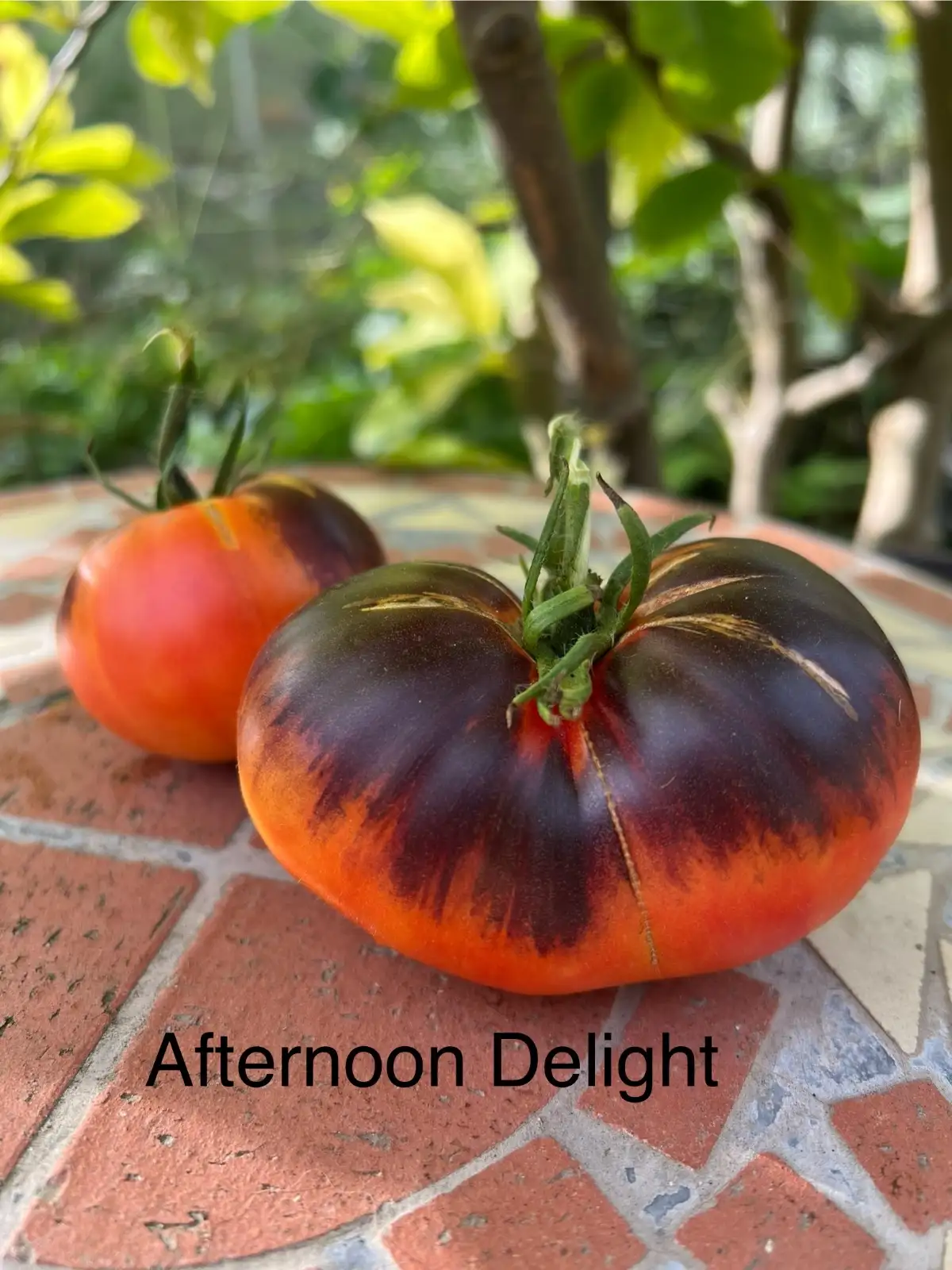 Tomaten: Afternoon Delight