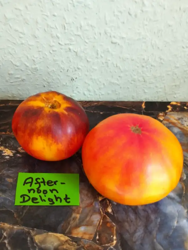 Tomaten: Afternoon Delight