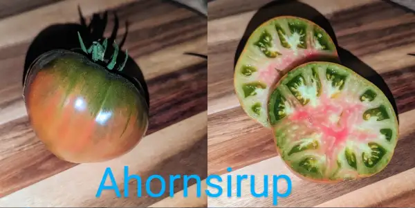 Tomaten: Ahornsirup