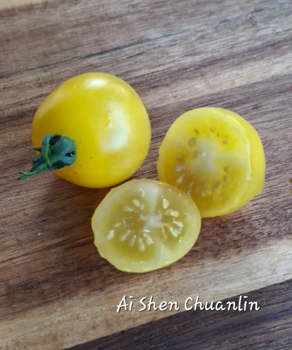 Tomaten: Ai Shen Chuan Lin (micro)