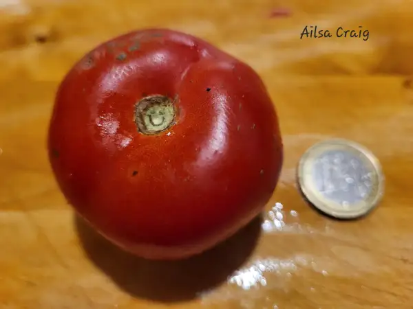Tomaten: Ailsa Craig