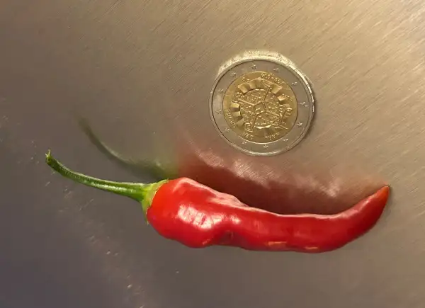 Chili / Paprika: Aji Cristal