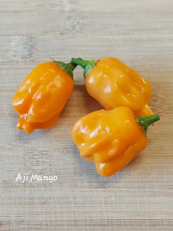 Chili / Paprika: Aji Mango