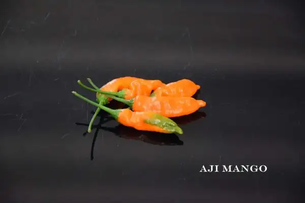 Chili / Paprika: Aji Mango