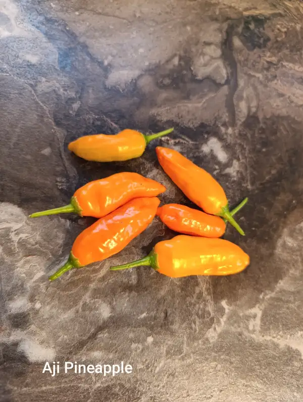 Chili / Paprika: Aji Pinapple