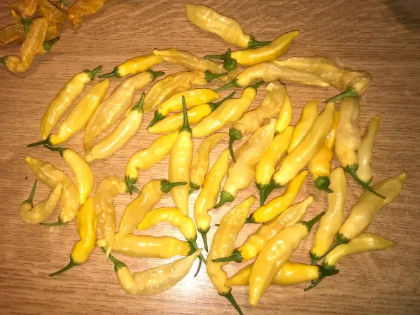 Chili / Paprika: Aji Pineapple