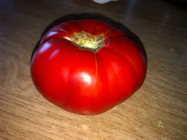 Tomaten: Aker