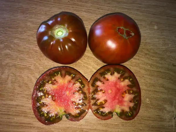 Tomaten: Aker