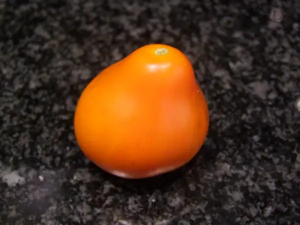 Tomaten: Aladdin