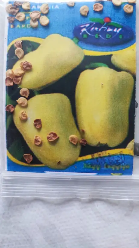 Chili / Paprika: Albaregia