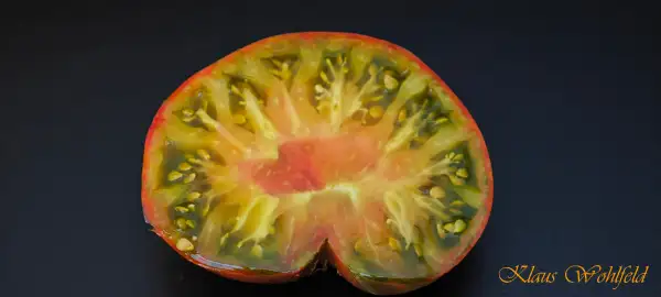 Tomaten: Alchemist