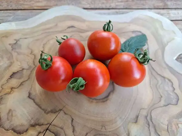 Tomaten: Alicante