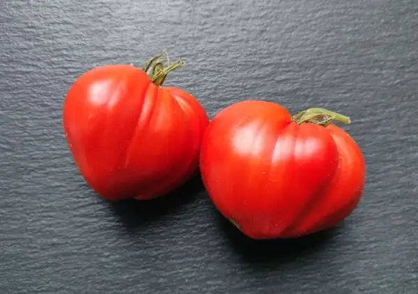 Tomaten: Alice