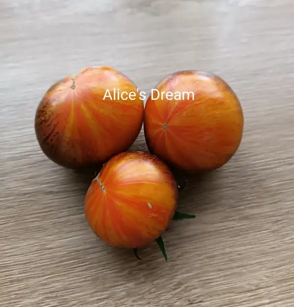 Tomaten: Alice