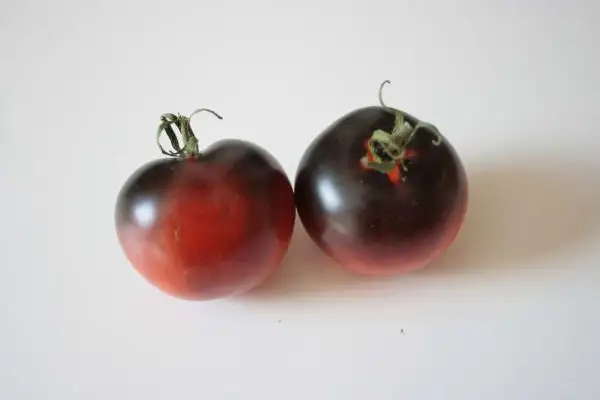 Tomaten: Alki blue blood