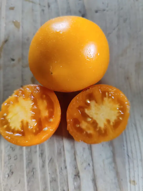 Tomaten: Allure