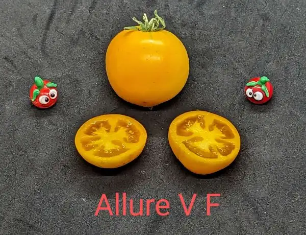 Tomaten: Allure