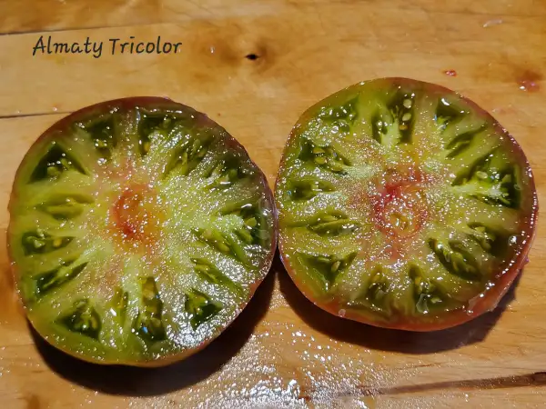 Tomaten: Almaty Tricolor