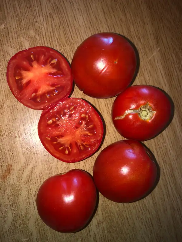 Tomaten: Alpatiev