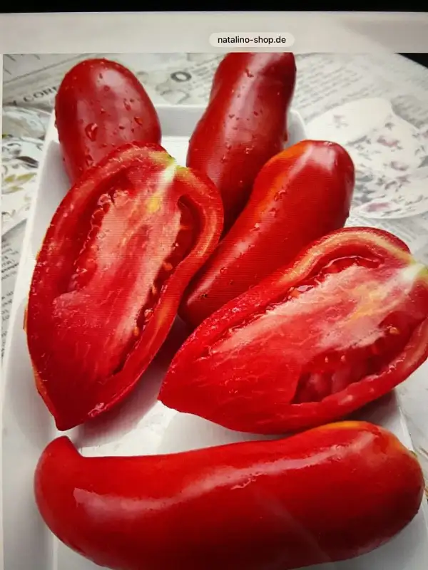 Tomaten: Alter Kommunist