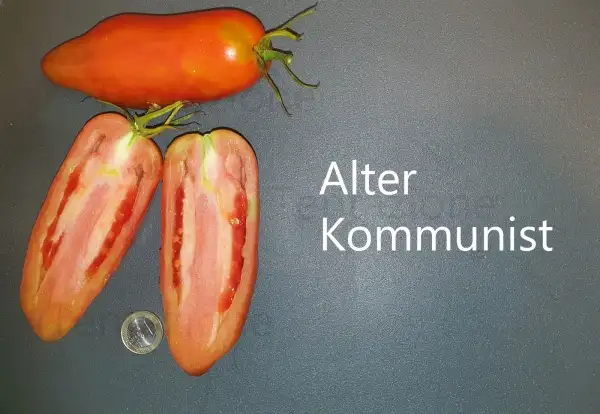 Tomaten: Alter Kommunist