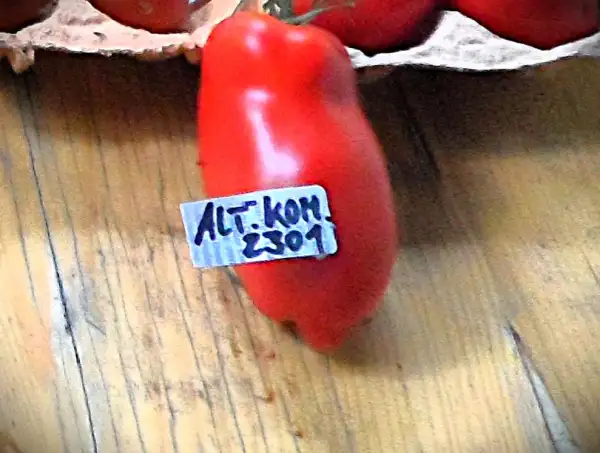Tomaten: Alter Kommunist ( Kat# 2301 )