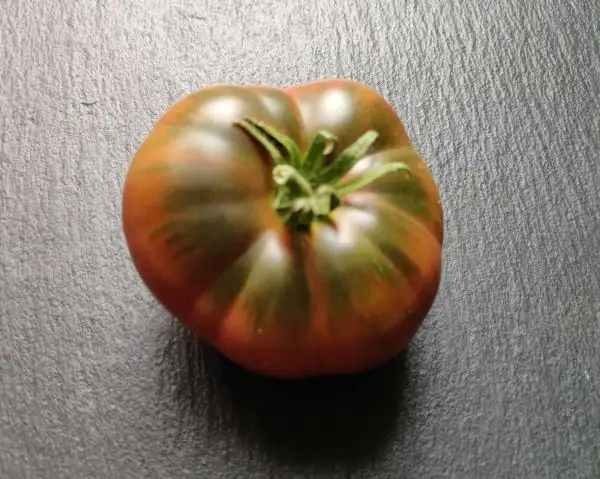 Tomaten: Amazon Chocolate