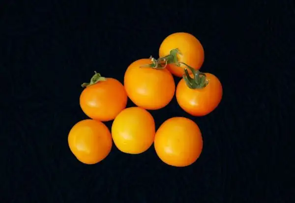 Tomaten: Amber Coloured