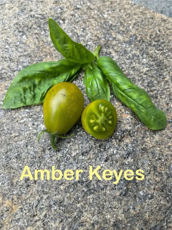 Tomaten: Amber Keyes