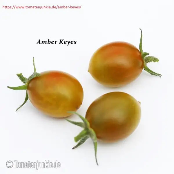 Tomaten: Amber Keyes