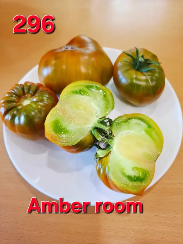 Tomaten: Amber room