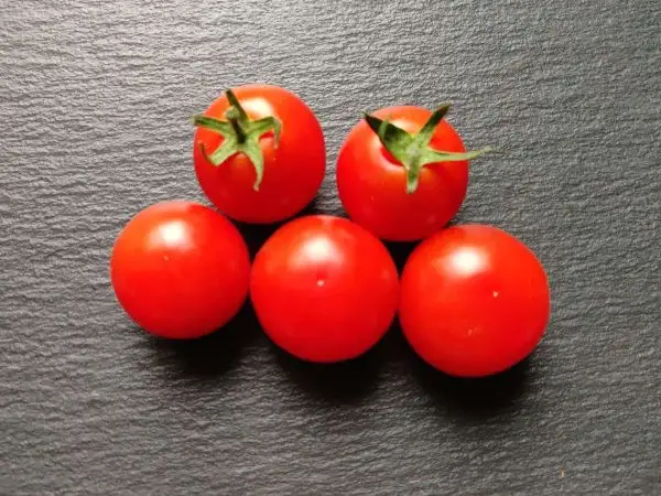 Tomaten: Ambrosia Giant