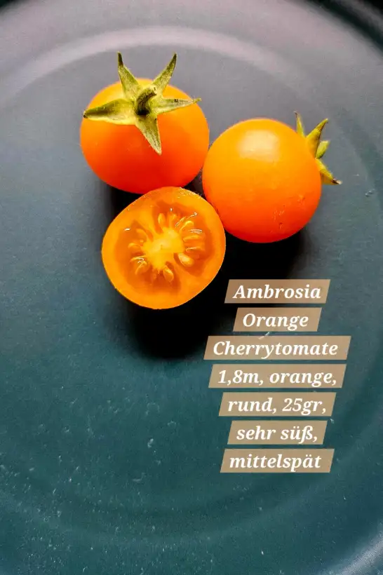 Tomaten: Ambrosia Orange