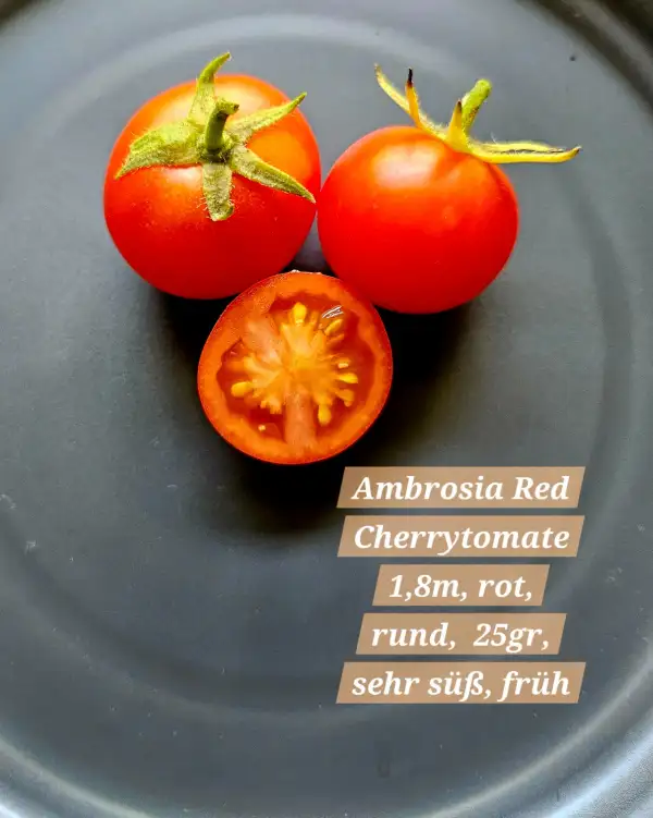 Tomaten: Ambrosia Red