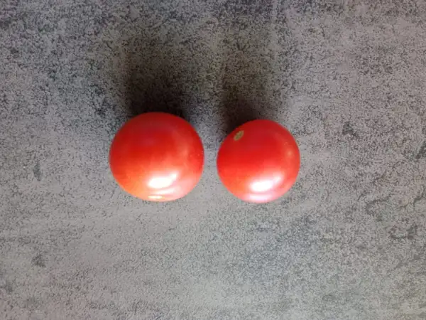 Tomaten: AMC, Austrian Mountain Cherry
