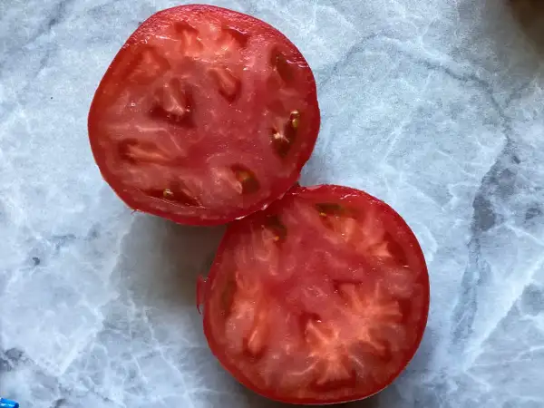 Tomaten: Amela